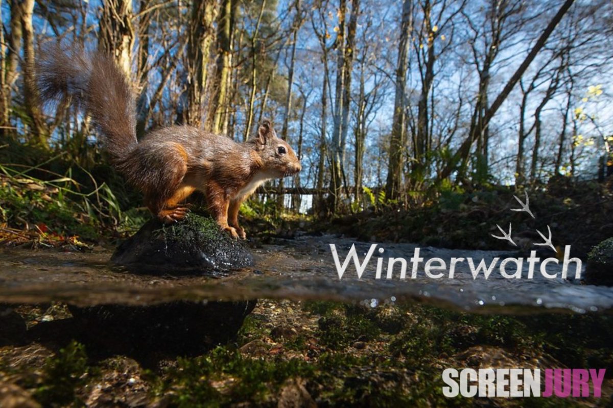 How To Watch Winterwatch 2024 In The USA For Free   Watch Winterwatch 2024 In The Usa 1200x800 